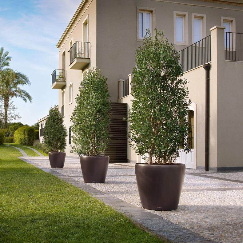 le_classico70_product_addi_02